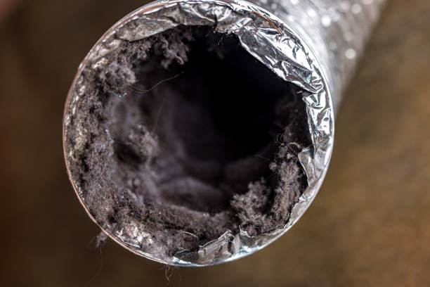 Best Air Duct Sanitizing Services  in Buda, TX