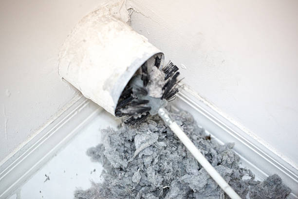 Best Professional Duct Cleaning Services  in Buda, TX